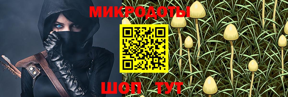 Псилоцибиновые грибы Psilocybe  Вход с VPN  Псилоцибиновые грибы мицелий  Нефтекумск 